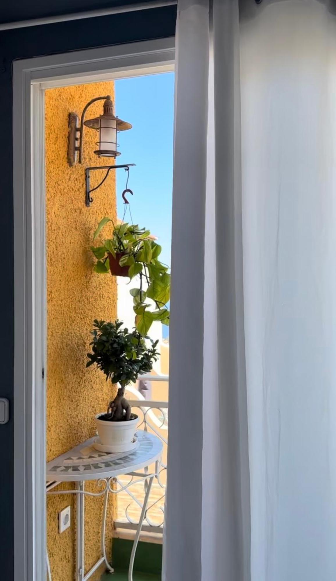 Vistas Los Pinos La Orotava Εξωτερικό φωτογραφία